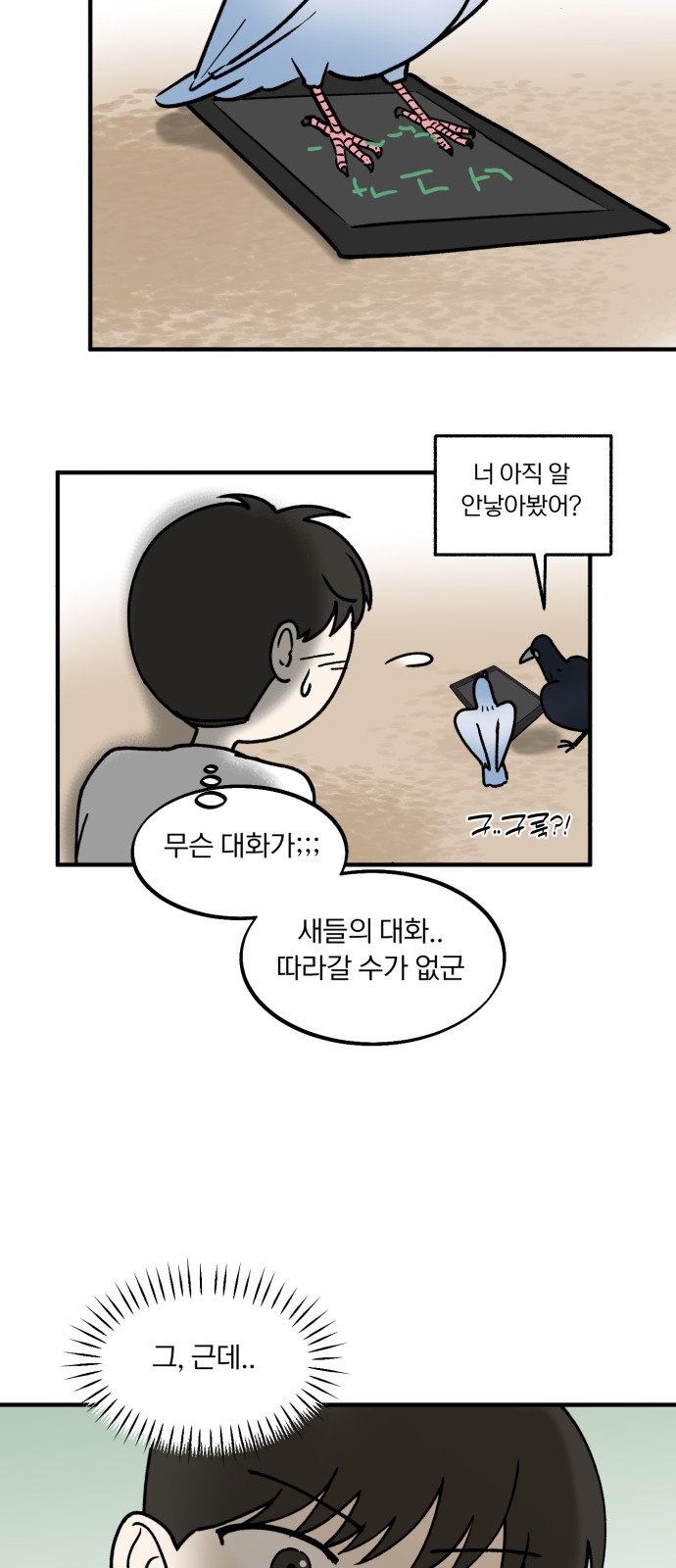 38 페이지