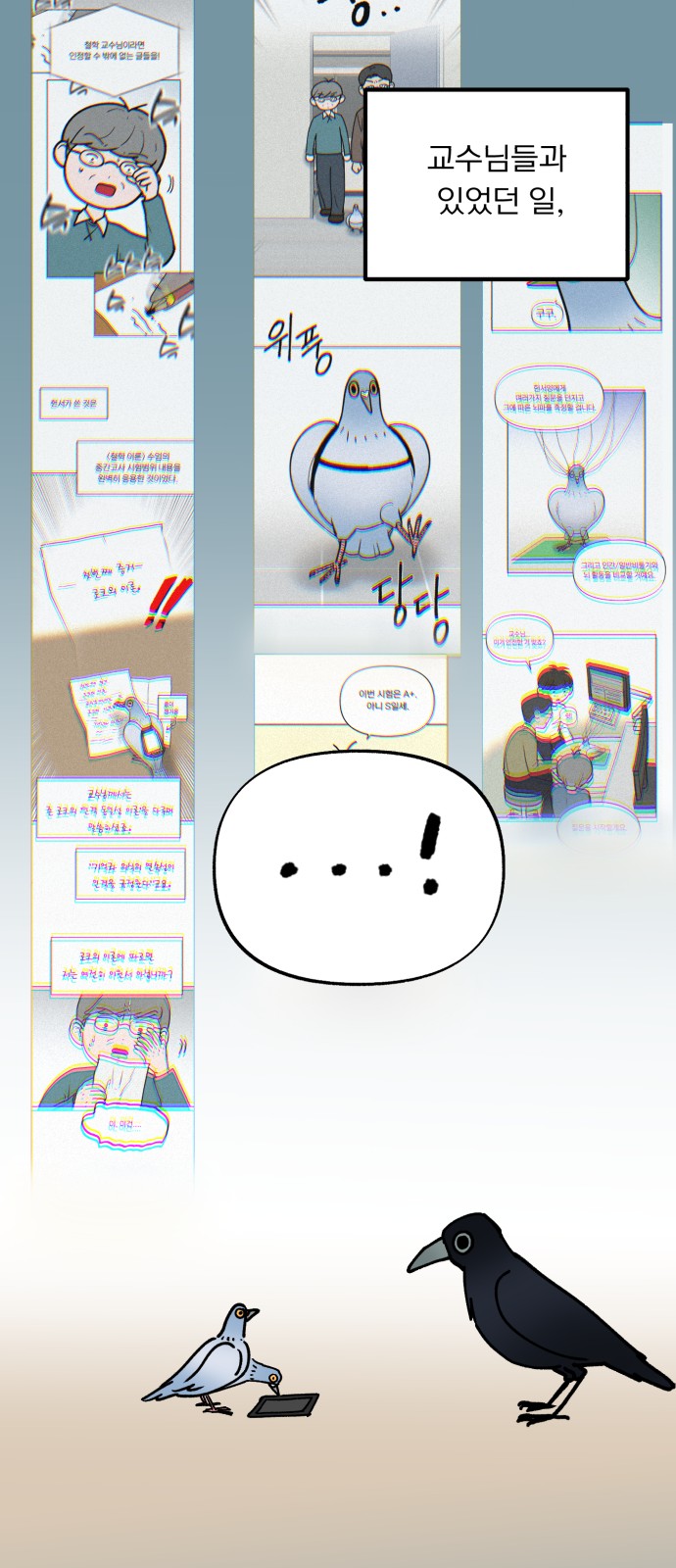 12 페이지