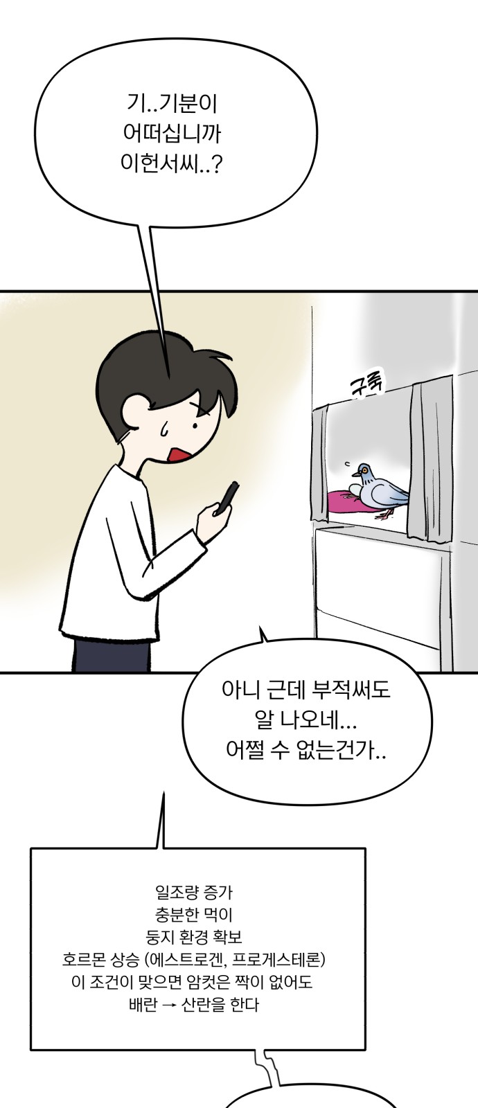 38 페이지