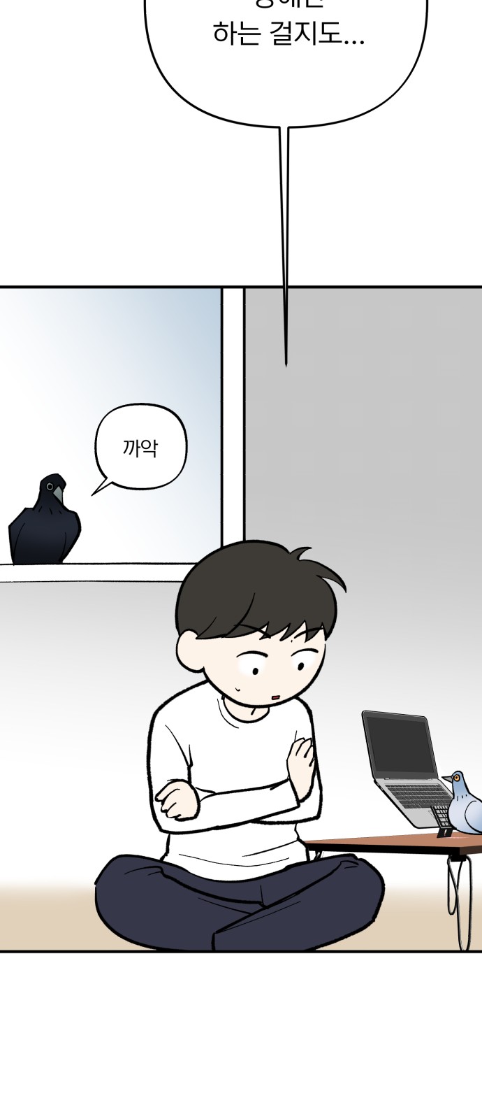 46 페이지