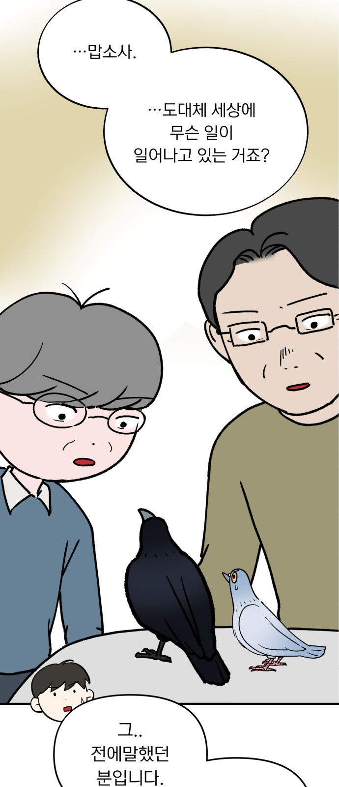 45 페이지