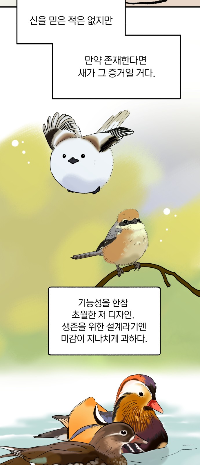 12 페이지