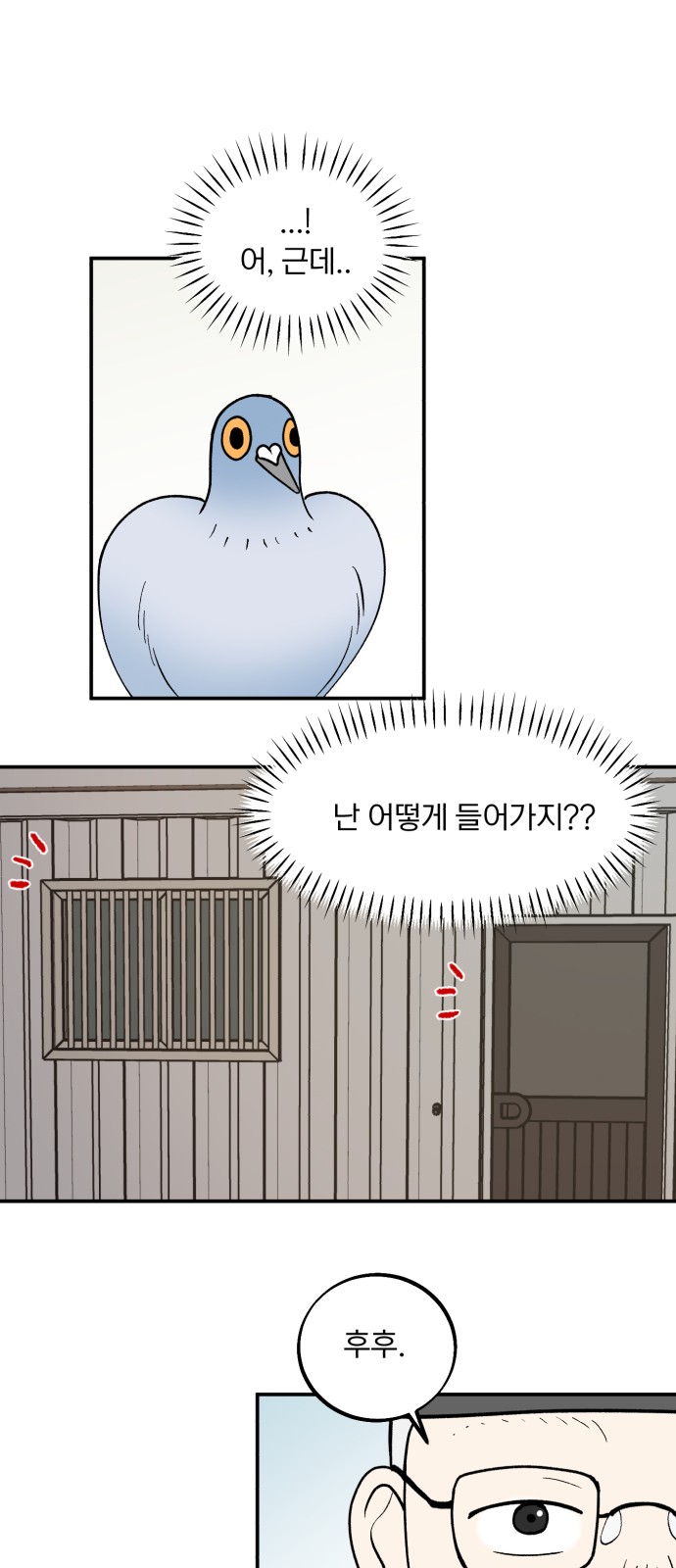 33 페이지