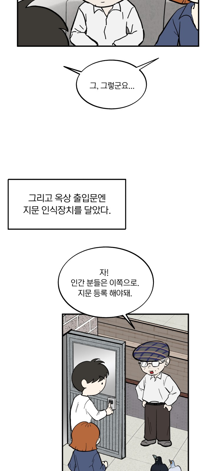 46 페이지