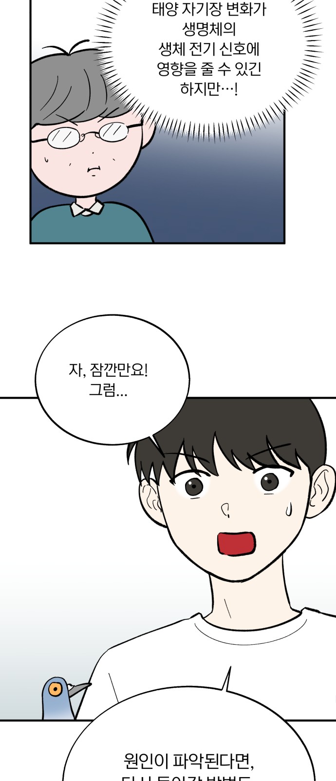 55 페이지