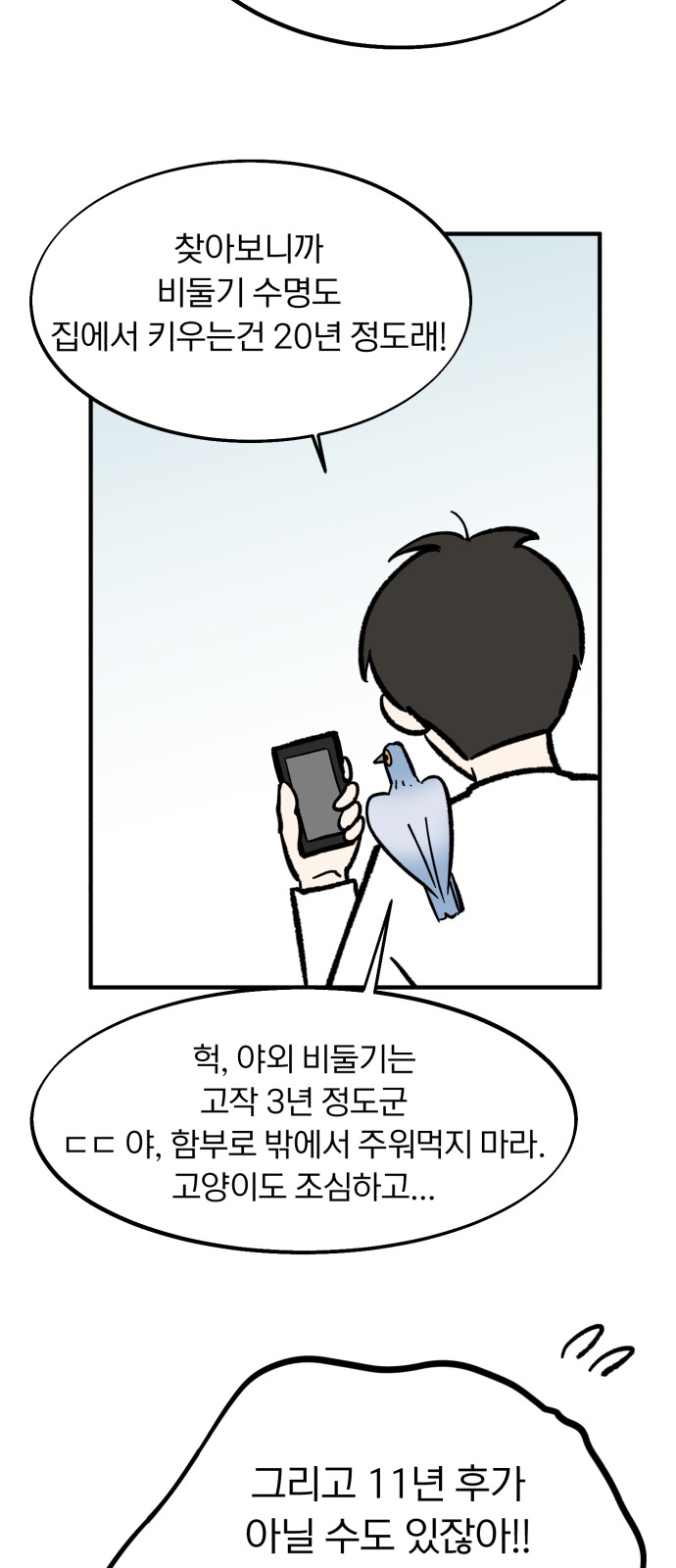 43 페이지