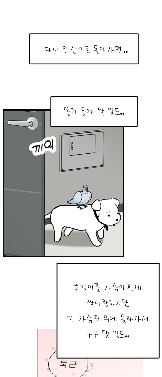 5 페이지