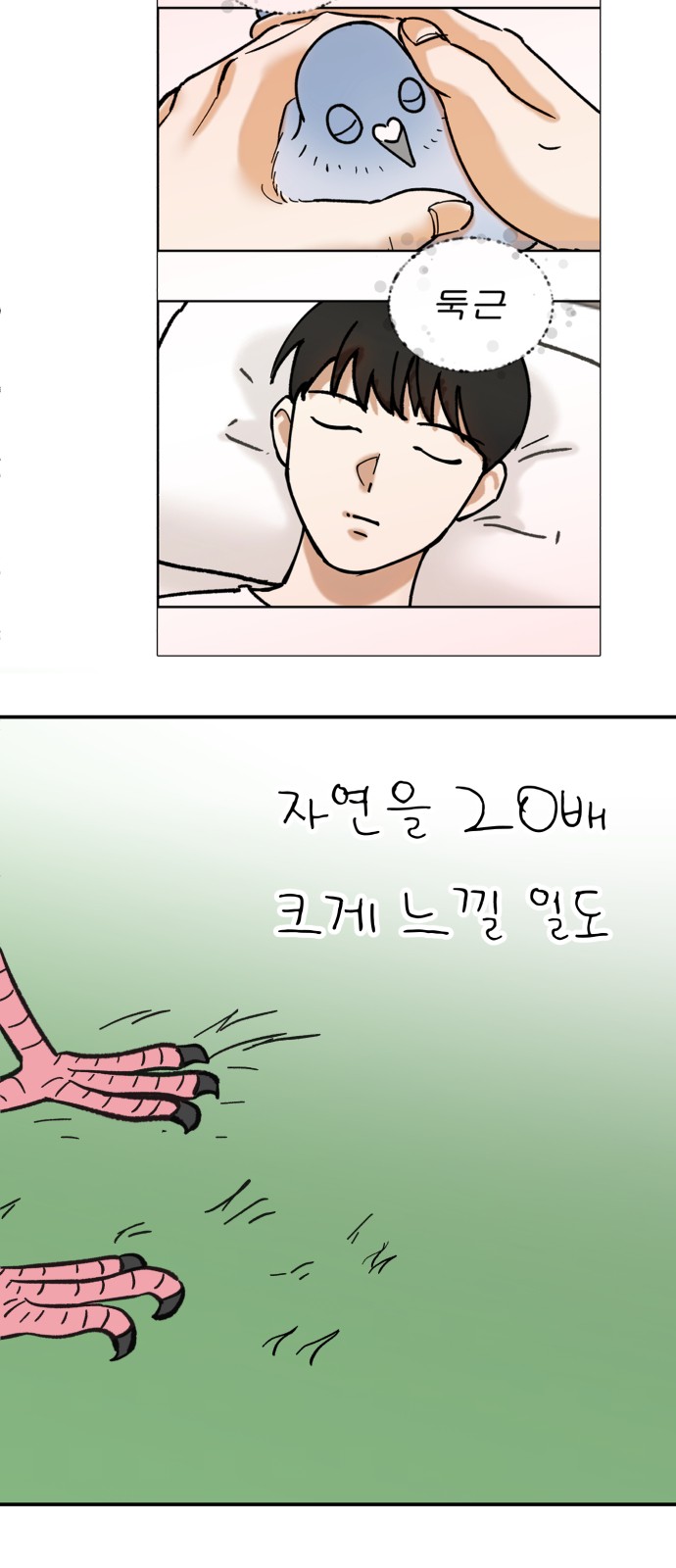 6 페이지