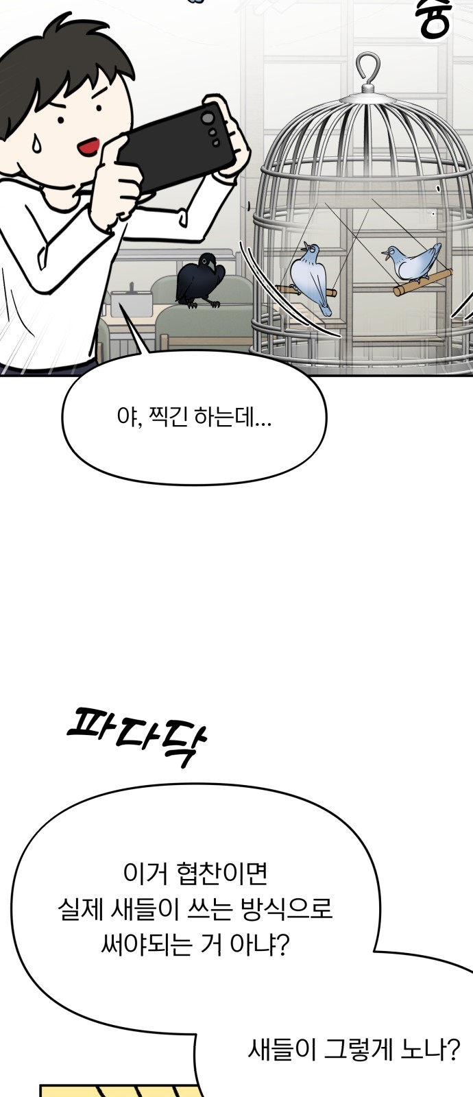 27 페이지
