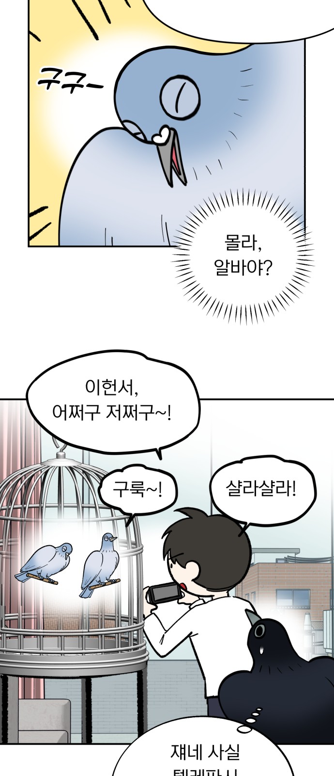 28 페이지