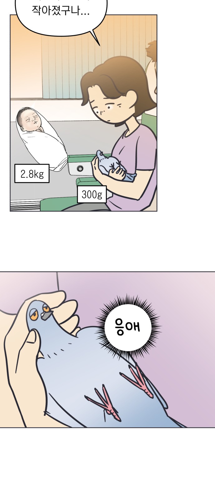 33 페이지