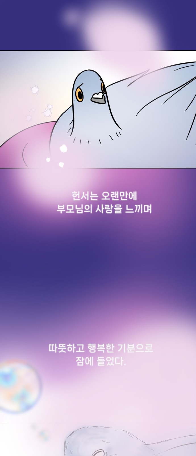 43 페이지