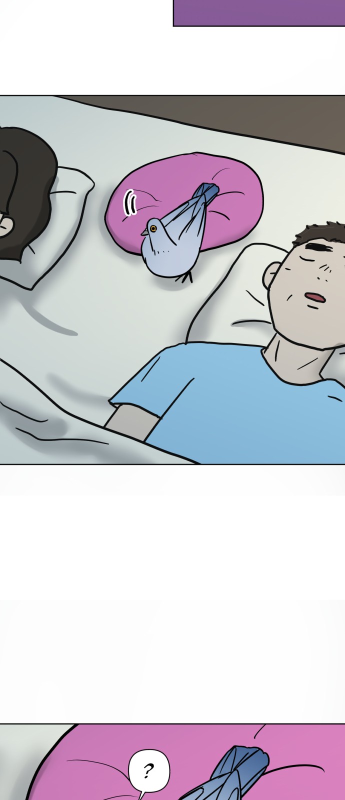 50 페이지