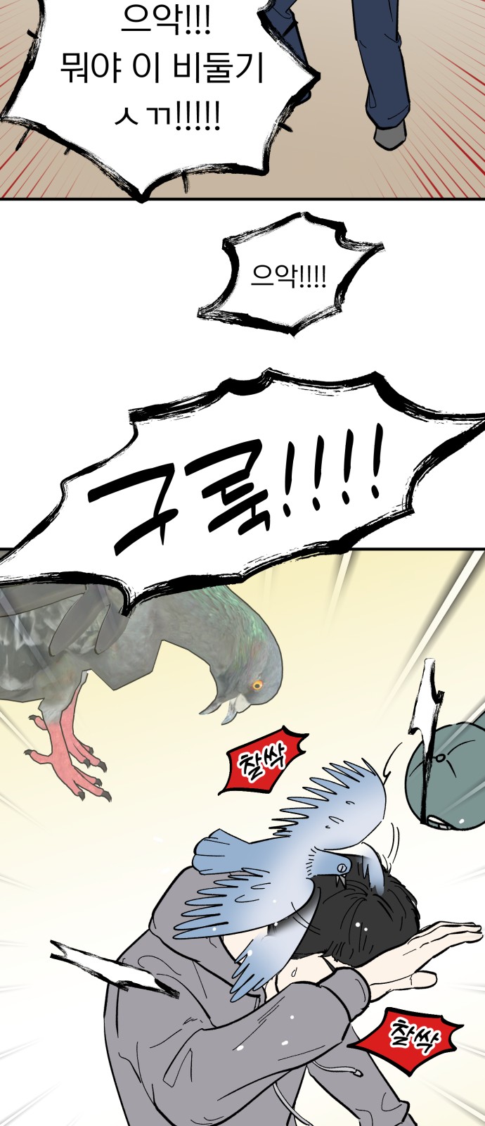30 페이지