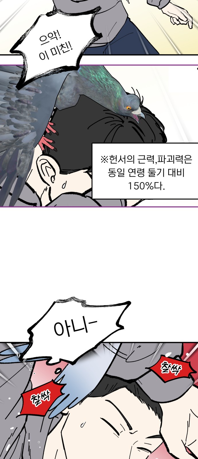 31 페이지
