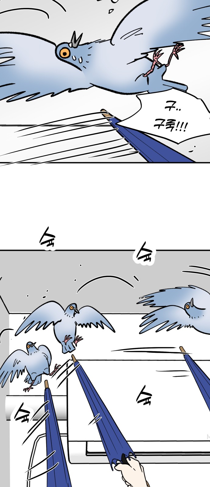 41 페이지