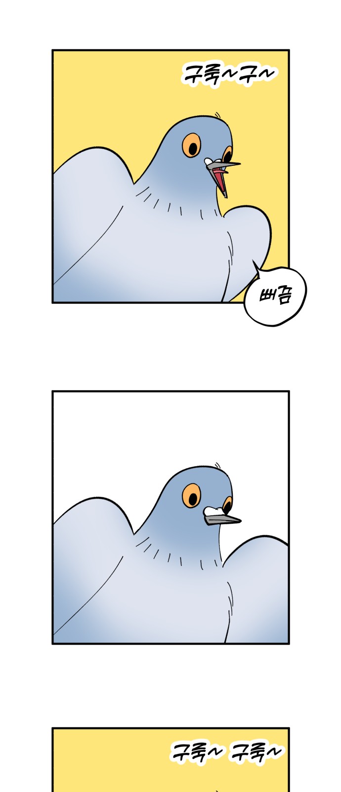 43 페이지