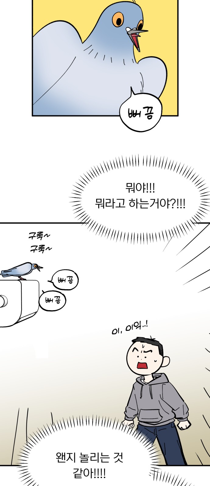 44 페이지