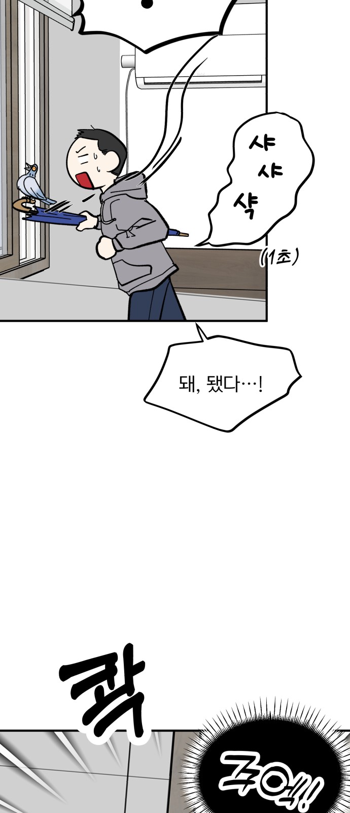 47 페이지