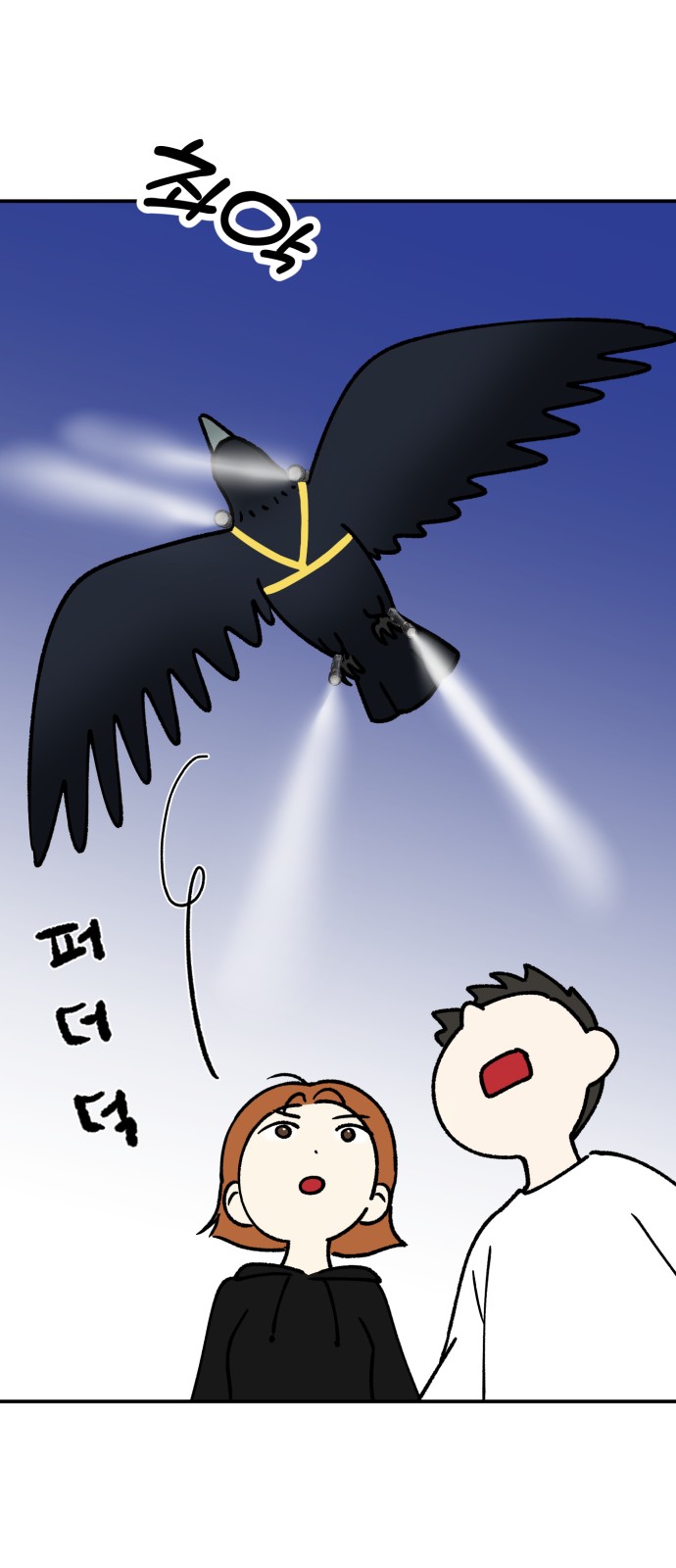 31 페이지