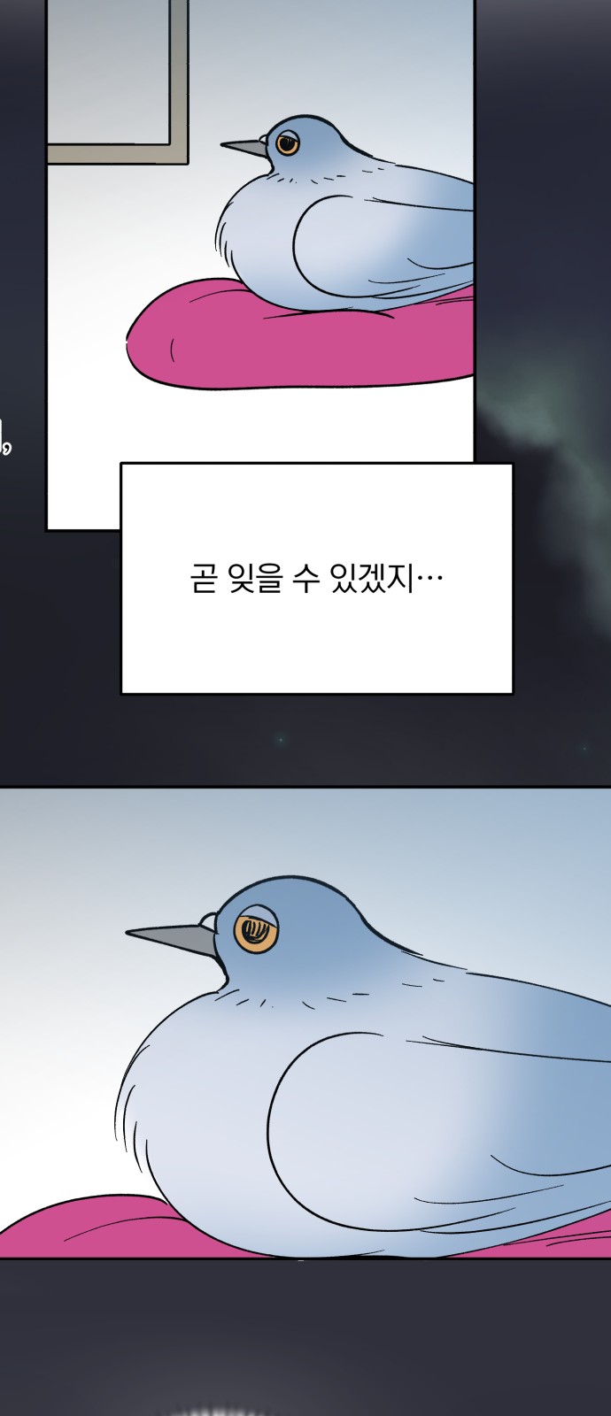 37 페이지