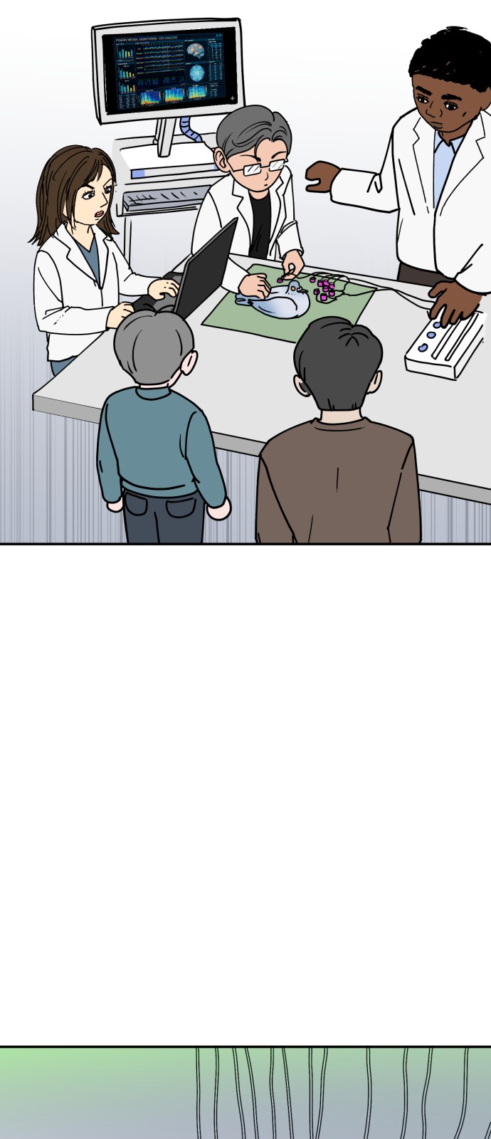44 페이지
