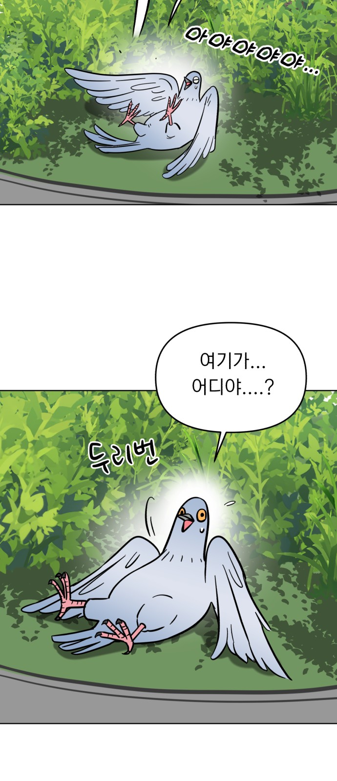 21 페이지