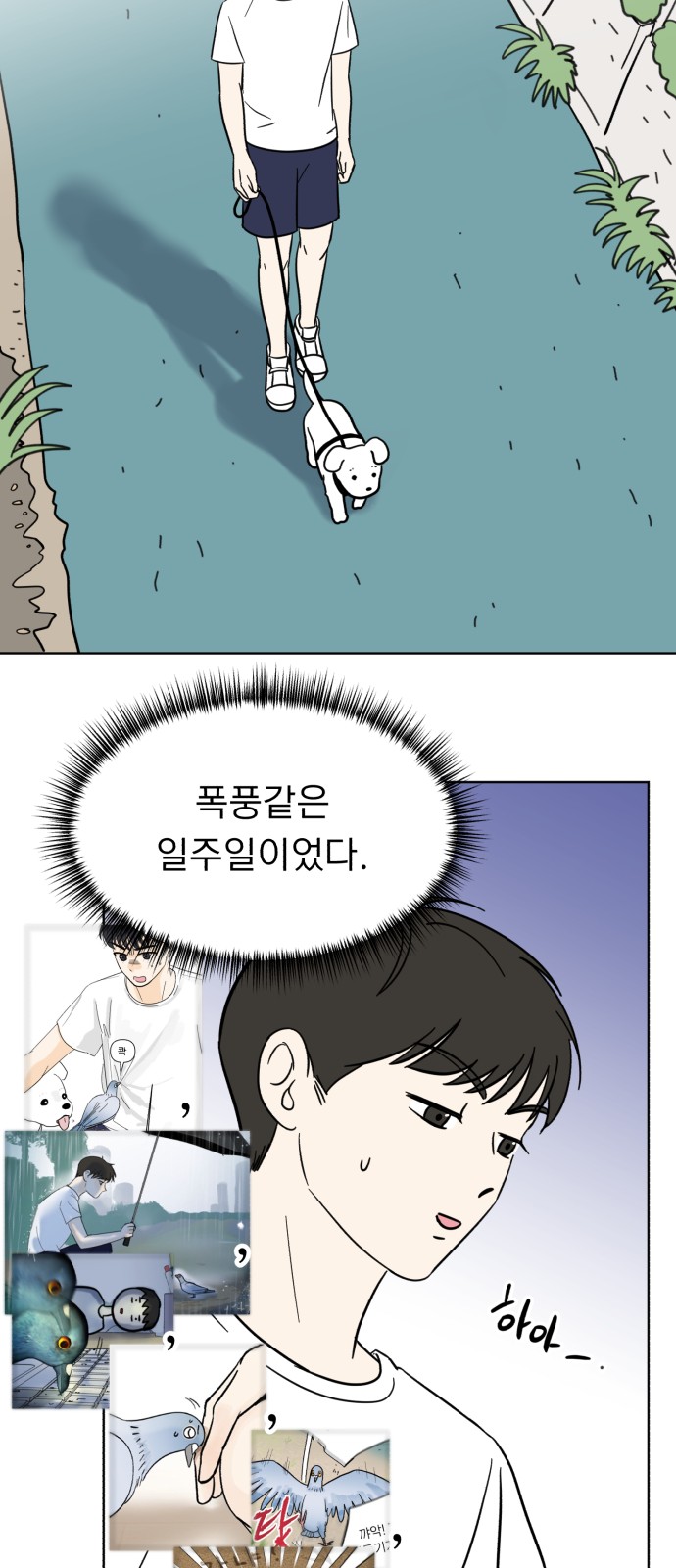 30 페이지