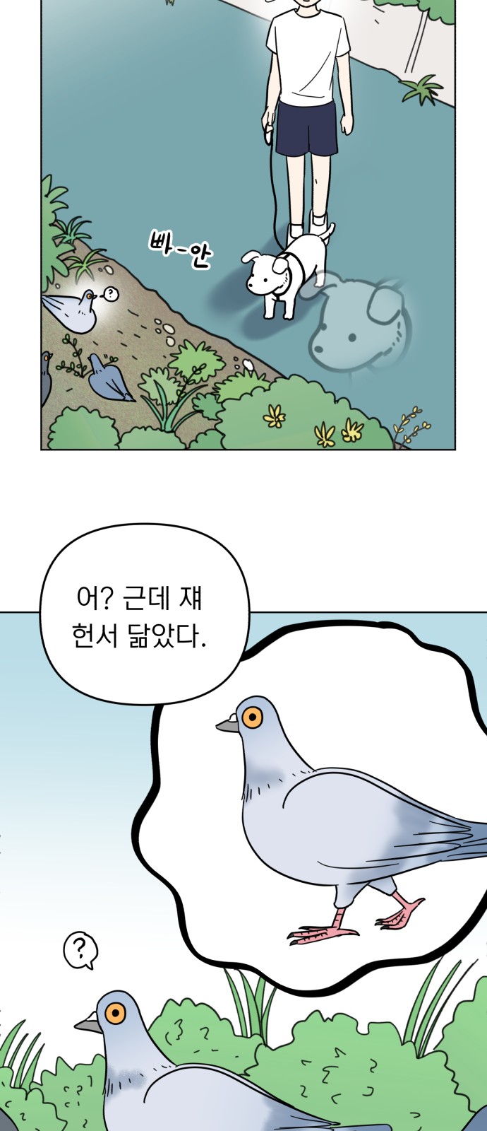 33 페이지