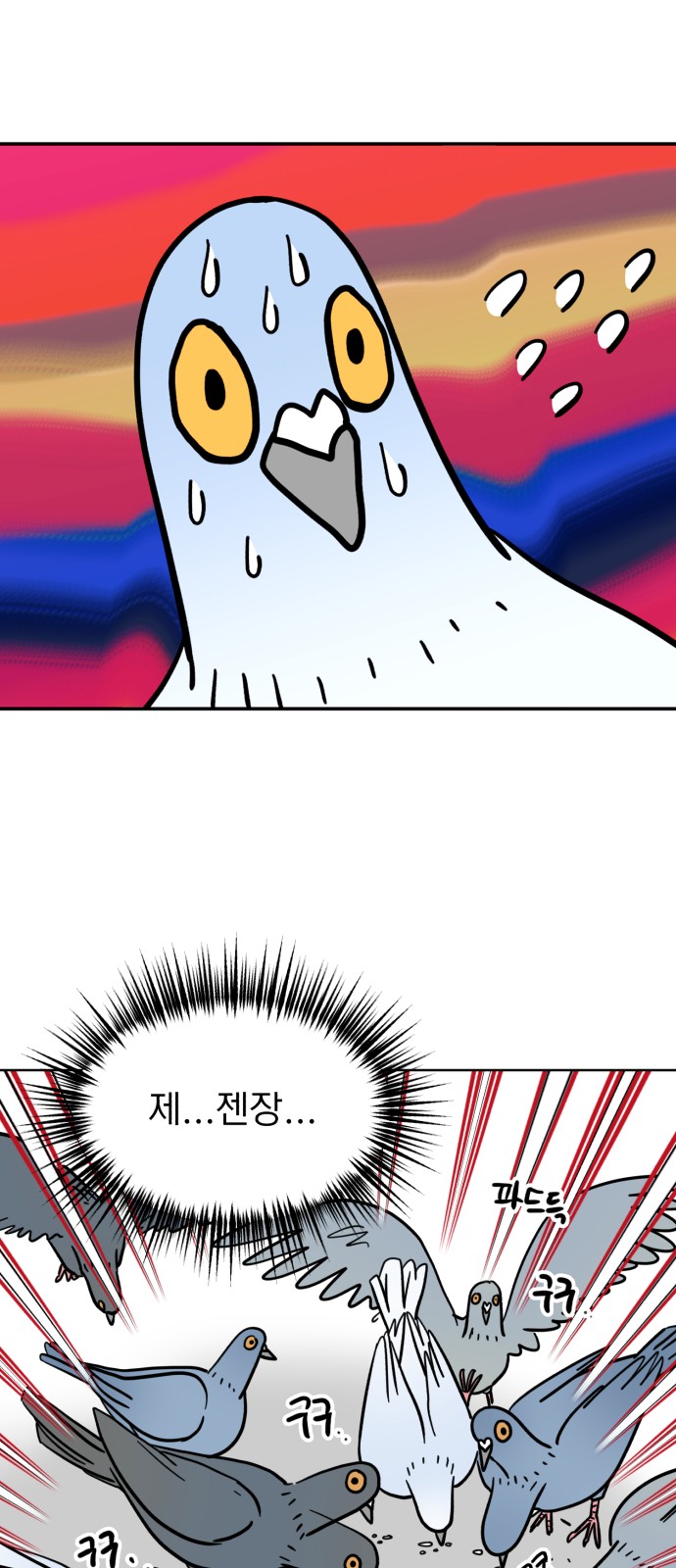 40 페이지