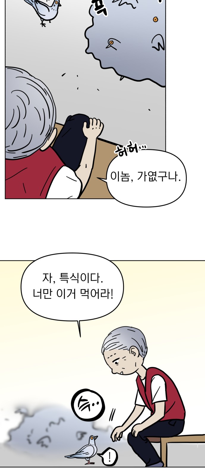 42 페이지