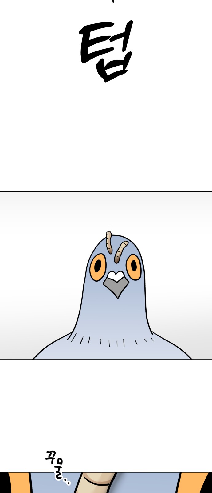 46 페이지