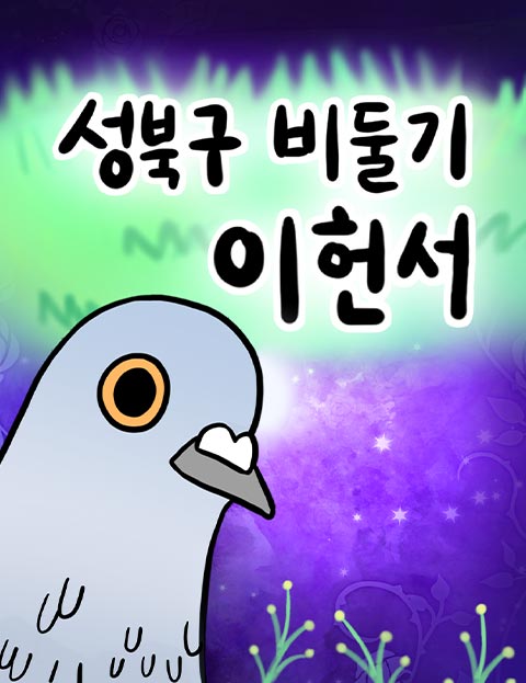 성북구 비둘기 이헌서