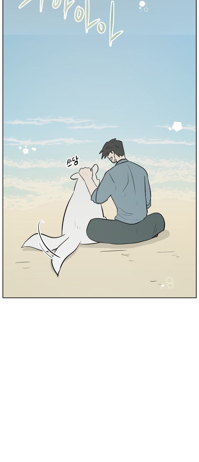 72 페이지