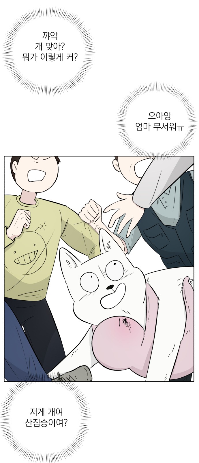 51 페이지