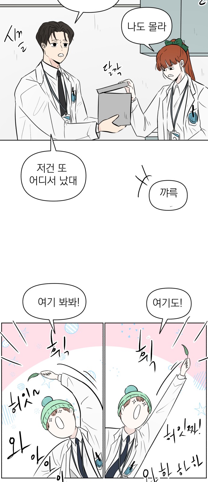 41 페이지