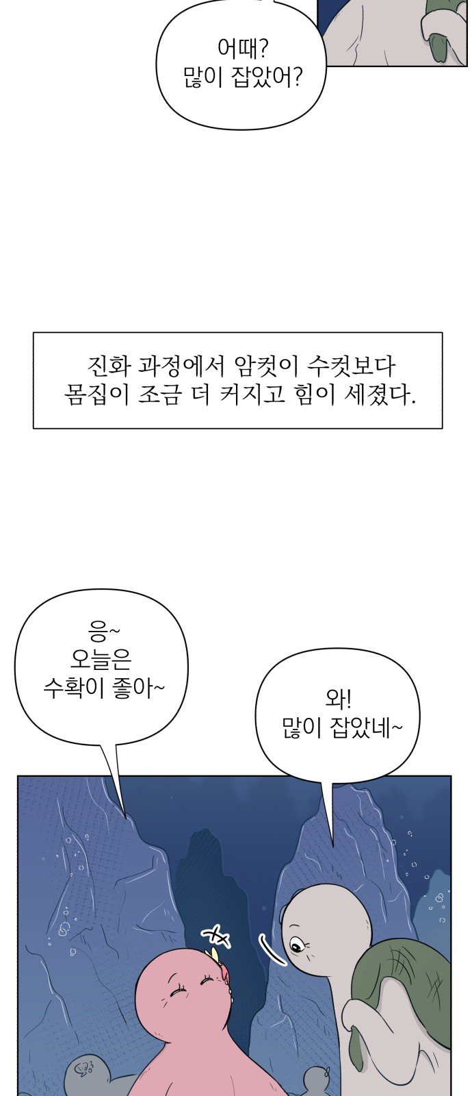 48 페이지