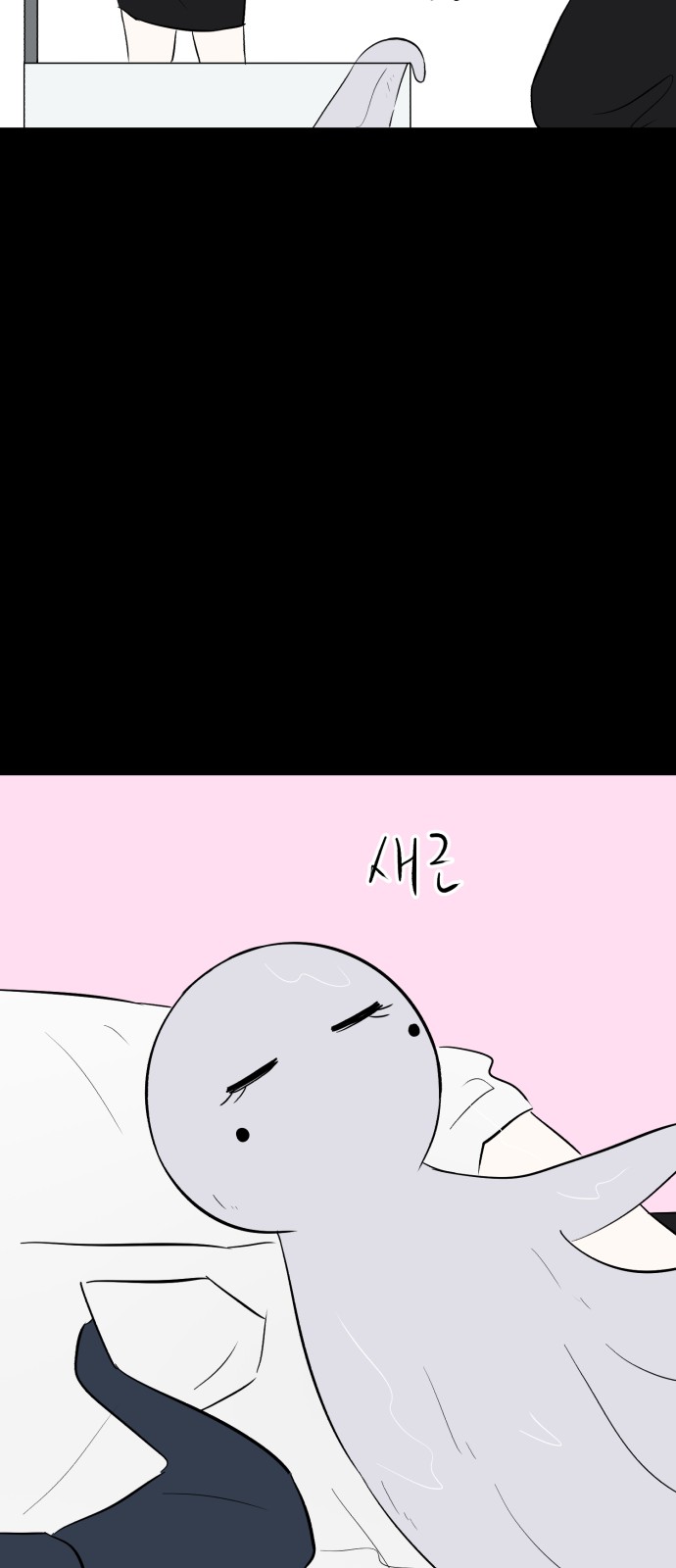13 페이지