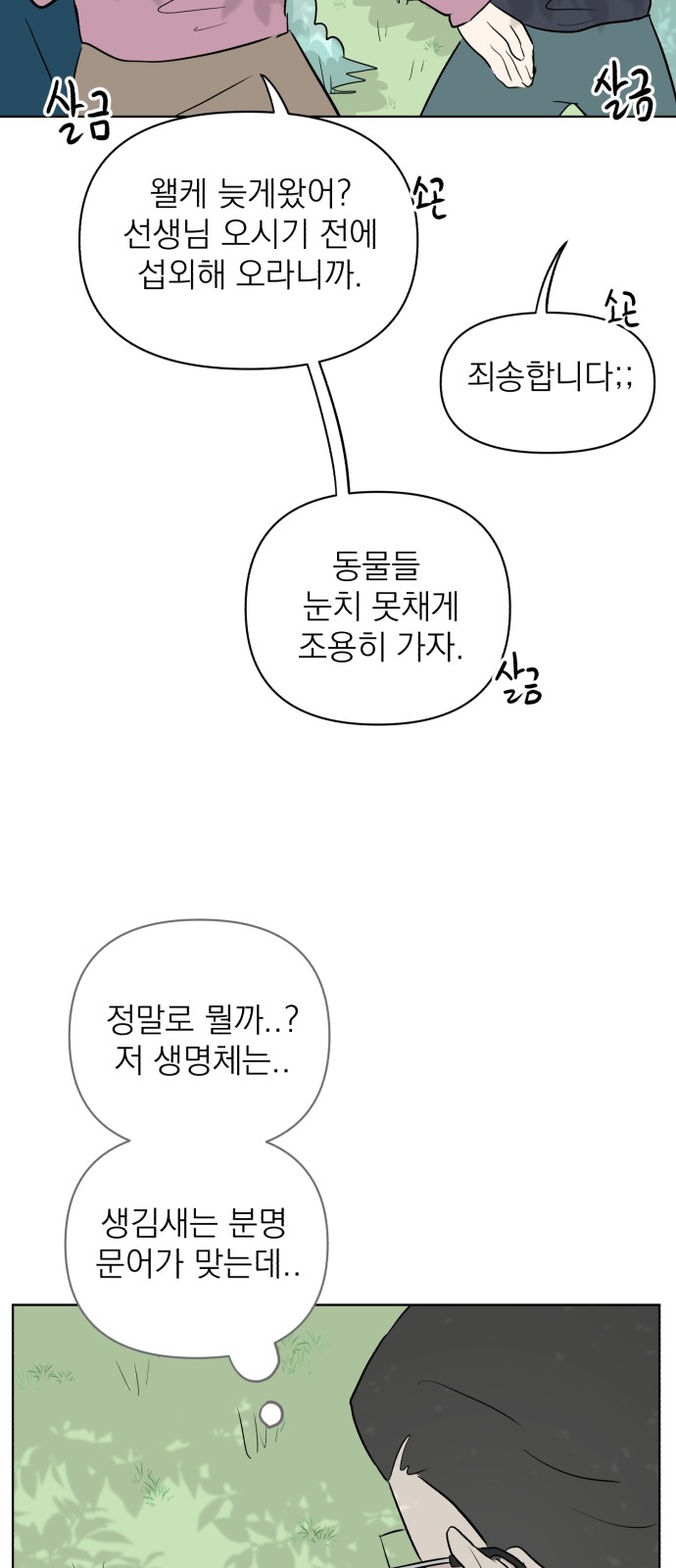 33 페이지