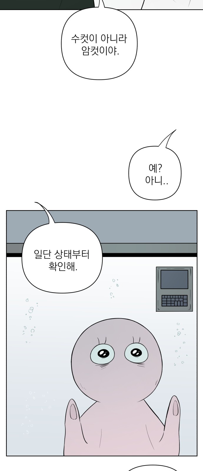 56 페이지