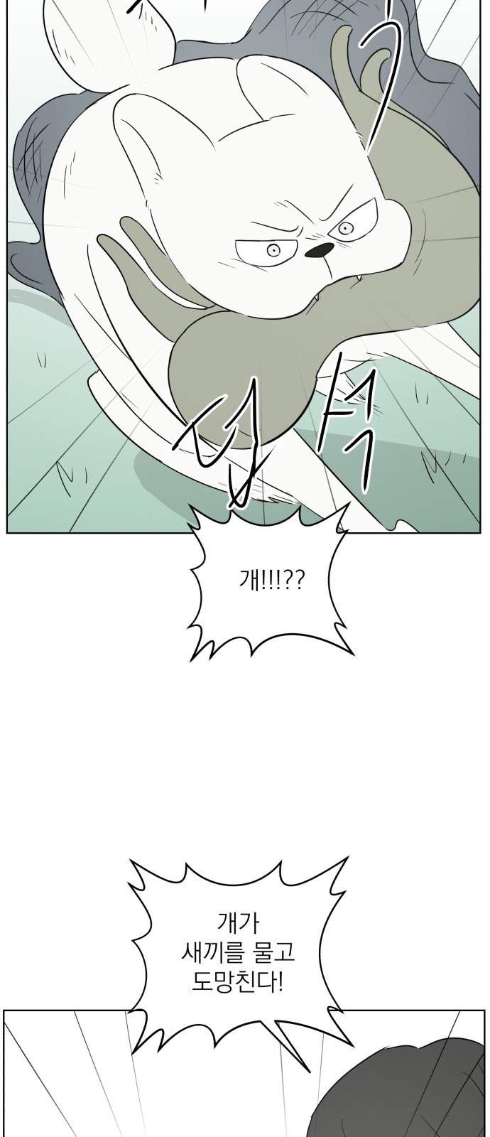 53 페이지