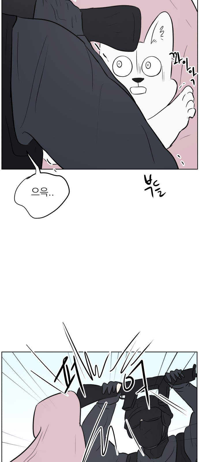 71 페이지