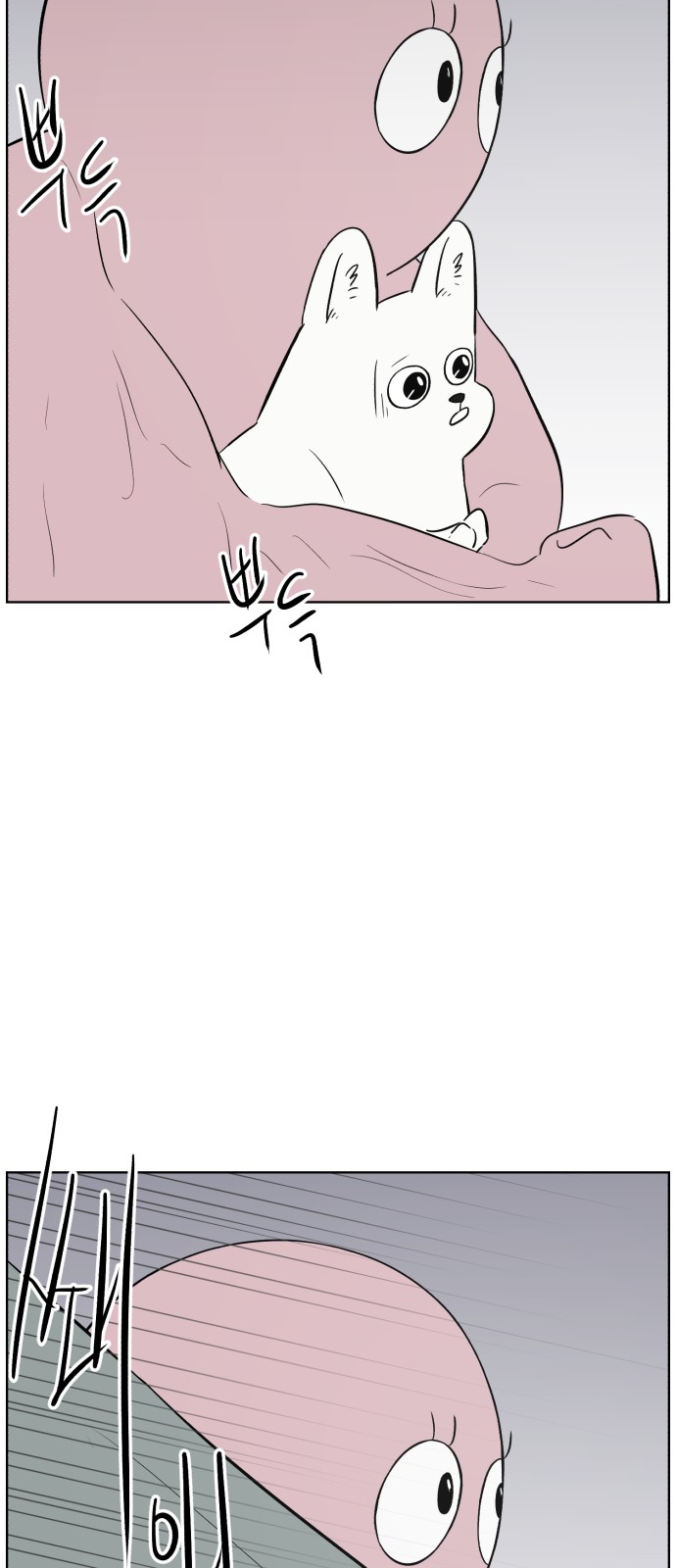 79 페이지
