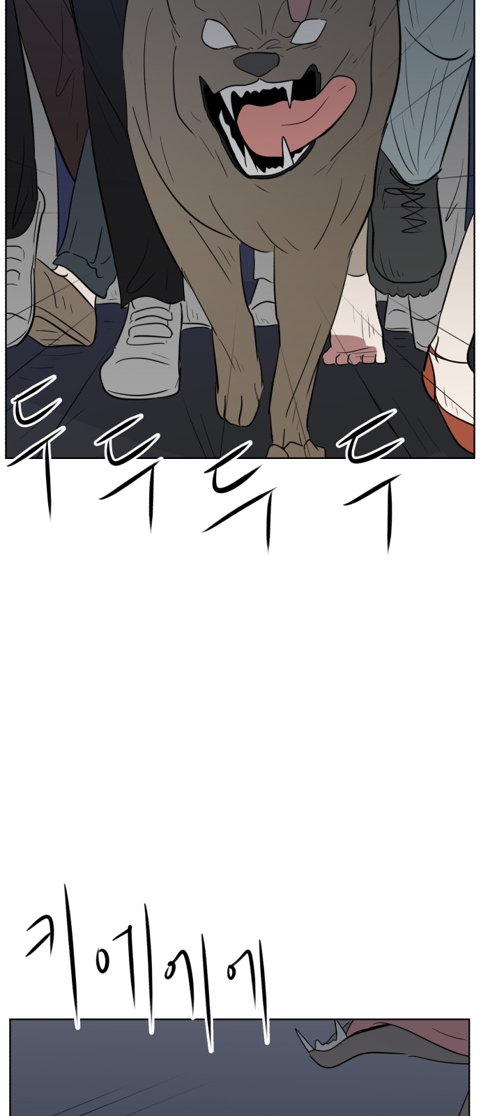 77 페이지