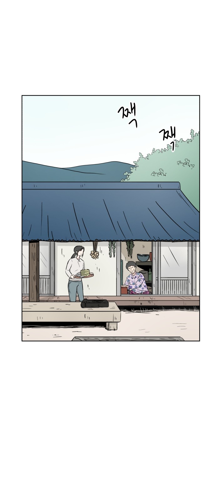 30 페이지