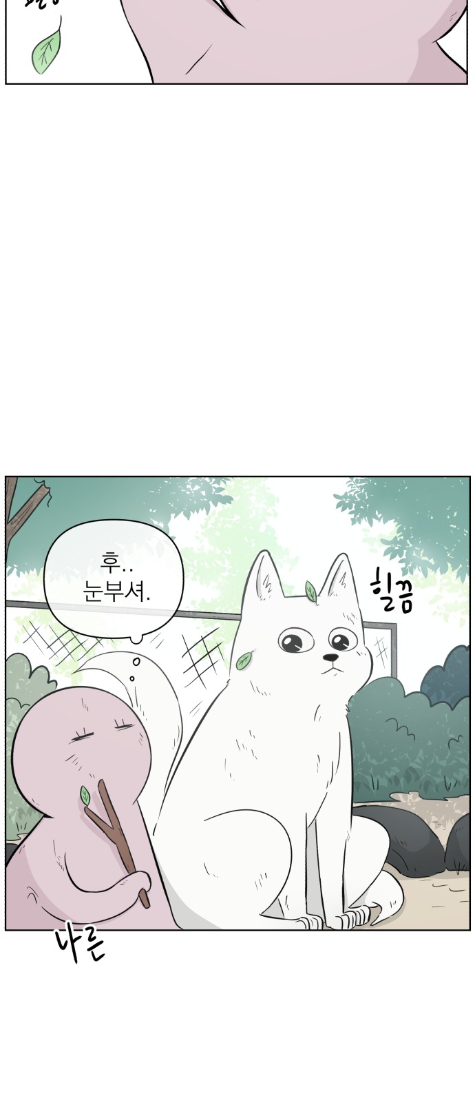 48 페이지