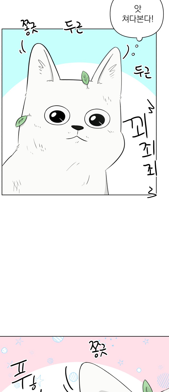 52 페이지
