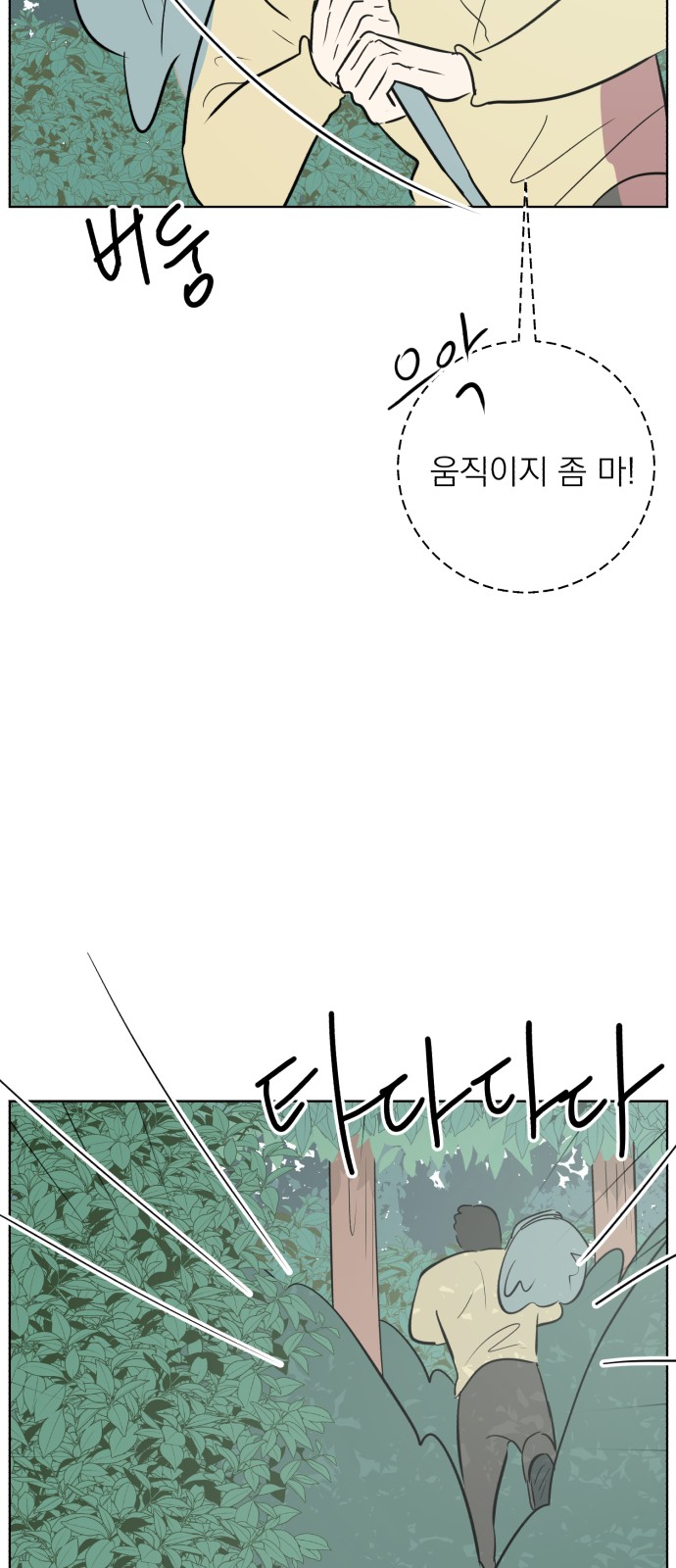 81 페이지