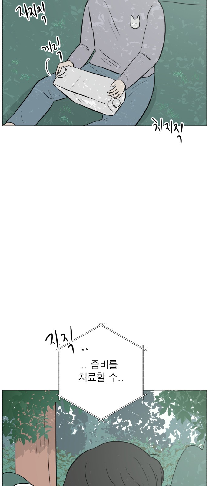 66 페이지