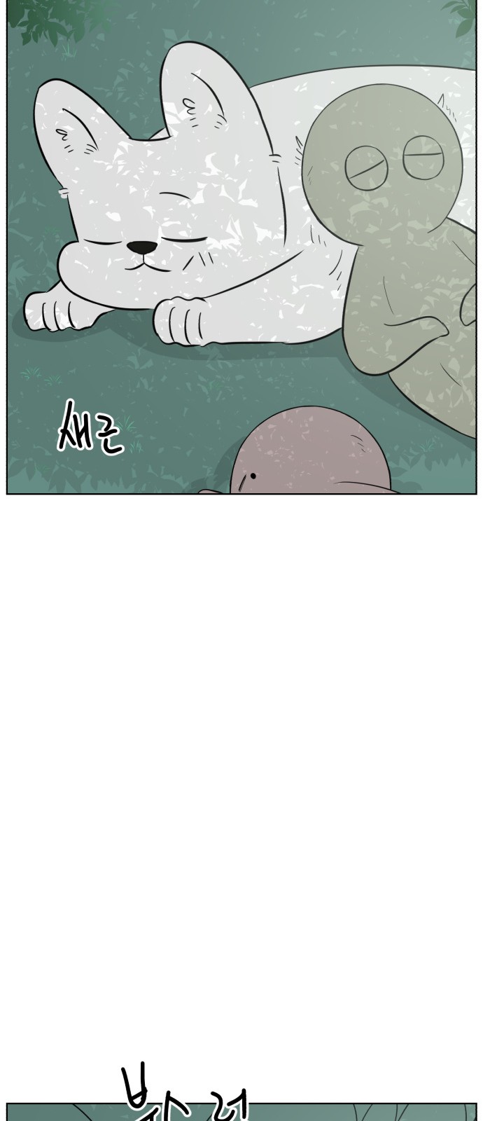 74 페이지